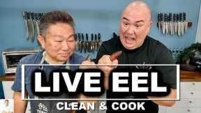 LIVE EEL, Catch, Clean & Cook FEAT. Sous Vide Everything