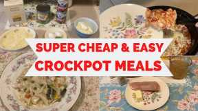 CRCOKPOT MEALS! SUPER CHEAP AND EASY! Creamy Chicken & Noodles! Baked Ziti!