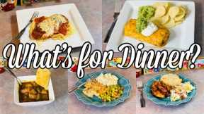 What’s for Dinner | DELICIOUS BUDGET FRIENDLY Family Meal Ideas | January 2023