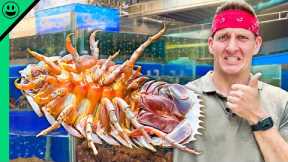 Japanese Chef Cooks Giant Sea Cockroach!! Nightmare Food Challenge!!
