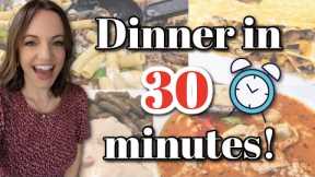 Dinner in a HURRY! 30 minute meals to make this week!