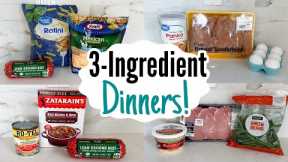 The EASIEST 3 Ingredient Dinners | Quick, Tasty, & Cheap Meals MADE EASY! | Julia Pacheco