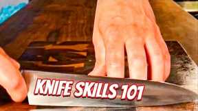 Professional Knife Skills 101