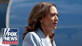 Harris surrogate admits she felt 'misled': 'Billion-dollar disaster'