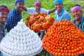 CARROT with EGG | Unique Carrot and