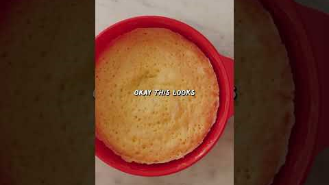 Testing a Blitz Microwave Cake Maker from Amazon!