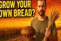 Grow Wheat & Bake Bread at Home – 