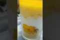 Mango Delight: The Dessert That Will