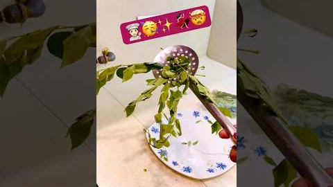 Life Hacks for kitchen | Easy Cooking Hacks Tricks & Tips 🤴🧑🏻‍🍳😇 #shorts
