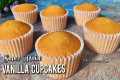 Vanilla Cupcakes Recipe Easy | How to 