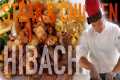 Ultimate Hibachi Steak and Chicken